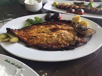 ماسال-رستوران-کاج-ماسال-366679
