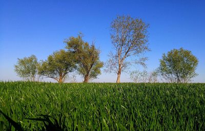 گرمی-دشت-مغان-366972