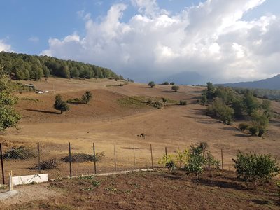 ساری-روستای-شعبانخیل-367254