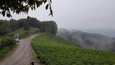 لاهیجان-جنگل-عطا-کوه-لاهیجان-367509