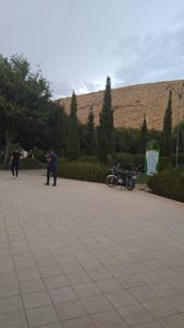 شیراز-بوستان-نماز-شیراز-367526