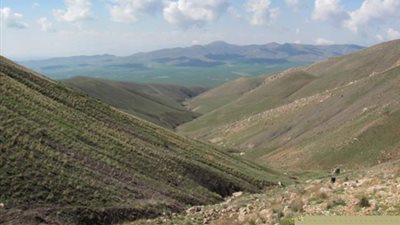 ساوه-روستای-قارلوق-ساوه-368478