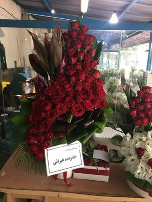شاهین-شهر-فروشگاه-گل-ارکید-368620