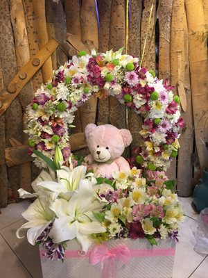 شاهین-شهر-فروشگاه-گل-ارکید-368629