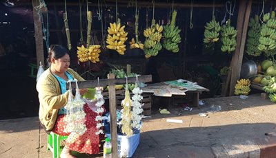 نایپیداو-بازار-محلی-میوما-369369