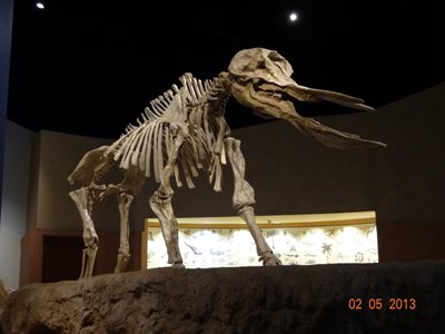 ریاض-موزه-ملی-ریاض-مرکز-تاریخی-ملک-عبدالعزیز-National-Museum-Of-Riyadh-370276