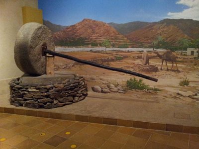 ریاض-موزه-ملی-ریاض-مرکز-تاریخی-ملک-عبدالعزیز-National-Museum-Of-Riyadh-370279