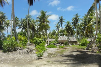 جزیره امبو | Ambo Island