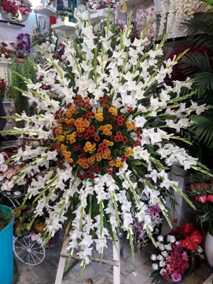 اردبیل-گل-فروشی-آلستر-371295