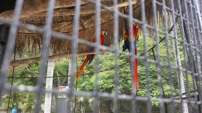 پارک ملی باغ وحش سانتو دومینگو | National Zoological Park