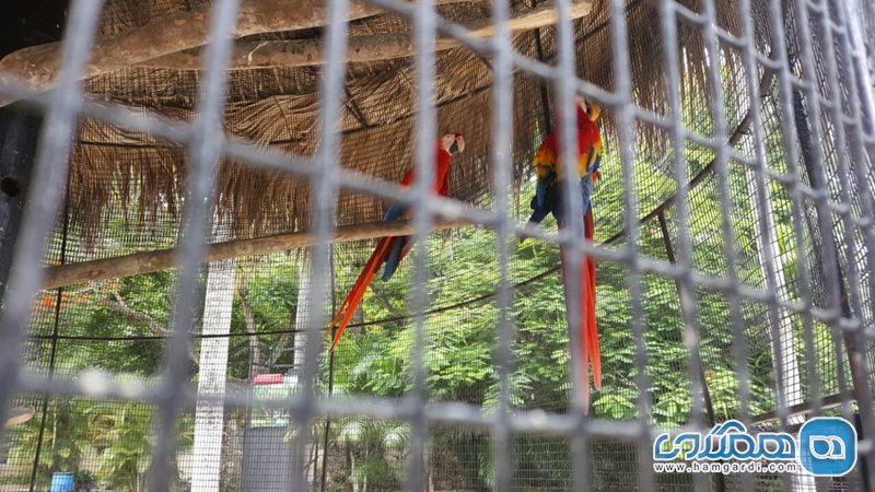 پارک ملی باغ وحش سانتو دومینگو | National Zoological Park