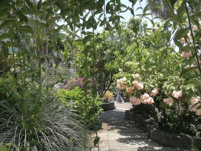 پتالینگ-جایا-باغ-سکرت-گاردن-اوتاما-The-Secret-Garden-Utama-371470