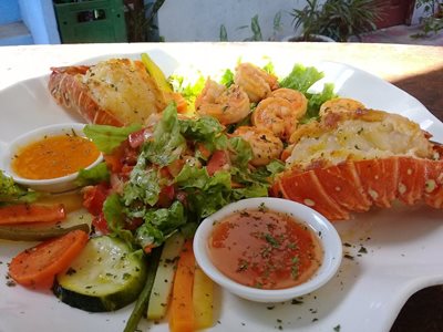 گراندا-رستوران-ال-مارلین-Restaurante-El-Marlin-371631