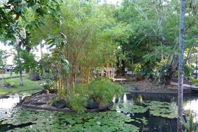 پاپیته-بوگاینویله-پارک-Bougainville-Park-372080