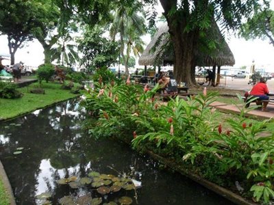 پاپیته-بوگاینویله-پارک-Bougainville-Park-372082