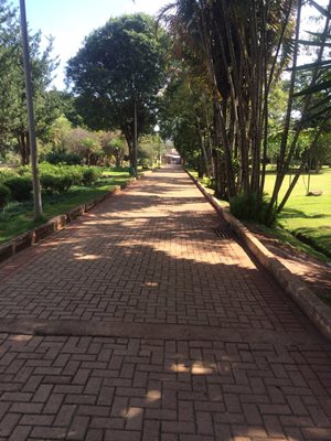 بلو-هوریزونته-پارک-شهر-پارک-زیست-محیطی-مارکس-روبرتو-بورل-Roberto-Burle-Marx-Ecological-Park-372270