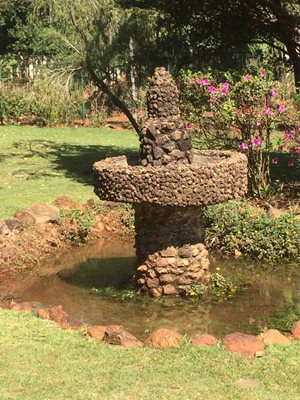 بلو-هوریزونته-پارک-شهر-پارک-زیست-محیطی-مارکس-روبرتو-بورل-Roberto-Burle-Marx-Ecological-Park-372268