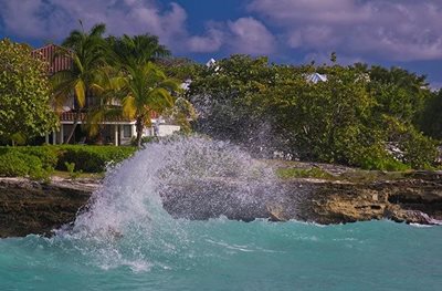 هتل سوئیت | Eldemire's Tropical Island Inn
