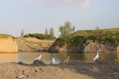 همدان-روستای-تفریجان-373261