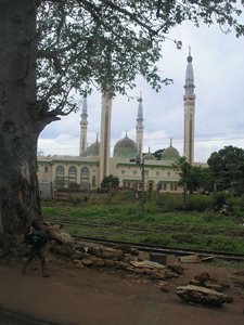 کوناکری-باغ-گیاه-شناسی-کوناکری-Conakry-Botanical-Garden-373314