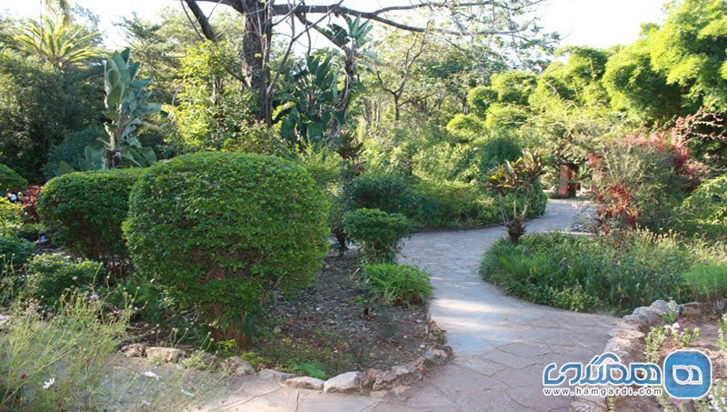 باغ گیاه شناسی کوناکری | Conakry Botanical Garden