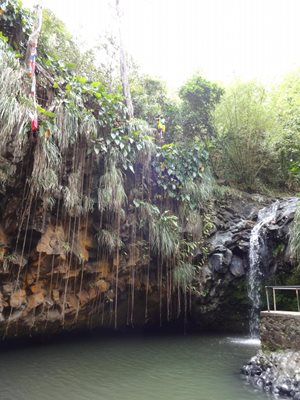 سنت-جرجس-آبشارهای-آناندال-Annandale-Falls-373436