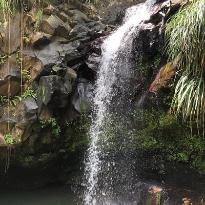 سنت-جرجس-آبشارهای-آناندال-Annandale-Falls-373440