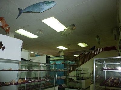 موزه تاریخ طبیعی سیشل | Seychelles Natural History Museum