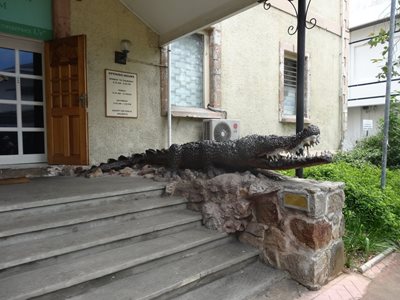 ویکتوریا-موزه-تاریخ-طبیعی-سیشل-Seychelles-Natural-History-Museum-373857