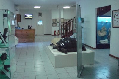 ویکتوریا-موزه-تاریخ-طبیعی-سیشل-Seychelles-Natural-History-Museum-373859