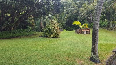 ویکتوریا-باغ-گیاه-شناسی-ملی-سیشل-Seychelles-National-Botanical-Gardens-373871
