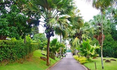 ویکتوریا-باغ-گیاه-شناسی-ملی-سیشل-Seychelles-National-Botanical-Gardens-373868