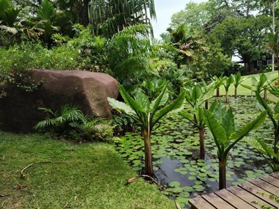 ویکتوریا-باغ-گیاه-شناسی-ملی-سیشل-Seychelles-National-Botanical-Gardens-373872