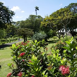 باغ گیاه شناسی کینگز تاون | Botanical Gardens