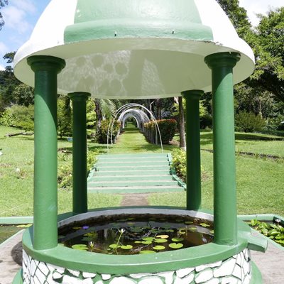 کینگزتاون-باغ-گیاه-شناسی-کینگز-تاون-Botanical-Gardens-375563