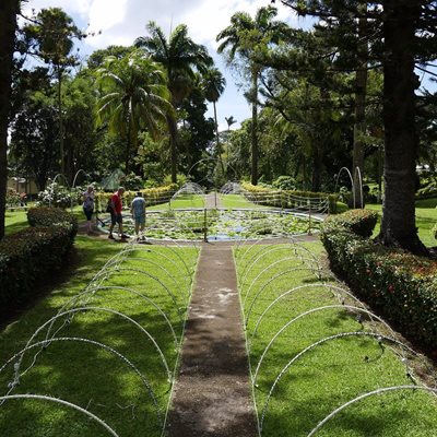 باغ گیاه شناسی کینگز تاون | Botanical Gardens