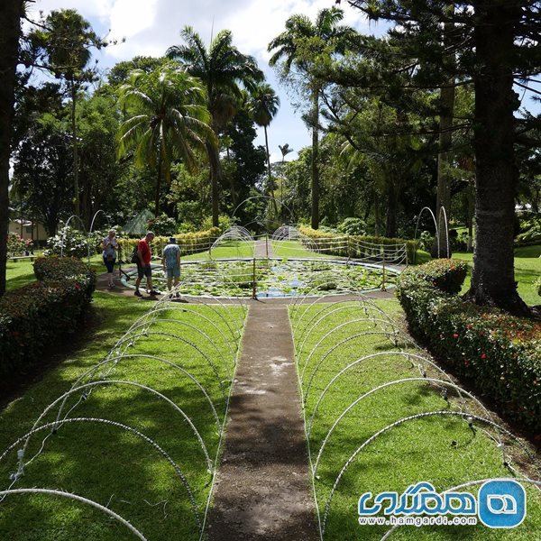 باغ گیاه شناسی کینگز تاون | Botanical Gardens