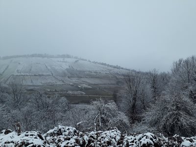 کیاسر-روستای-سیکا-375706