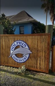 رود-تاون-پارک-آبی-دلفین-دیسکاوری-Dolphin-Discovery-Tortola-376031