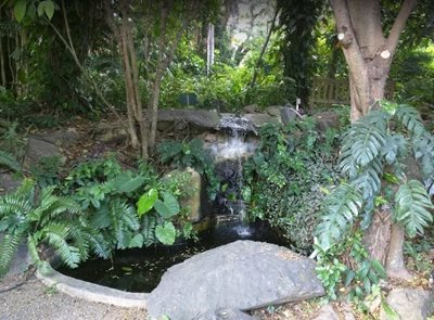 رود-تاون-باغ-گیاه-شناسی-اونیل-J-R-O-Neal-Botanic-Gardens-376059