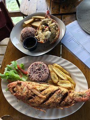 رستوران لا سیرنا دی کامپ بای | La Sirena de Camp Bay