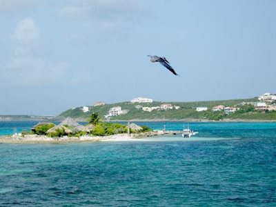 د-ولی-پارک-سیلی-سی-Scilly-Cay-377286
