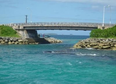 ماجورو-پل-ماجورو-Majuro-Bridge-377706