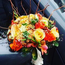 گل فروشی گلستان شقایق چالوس (گل فروشی آنلاین)