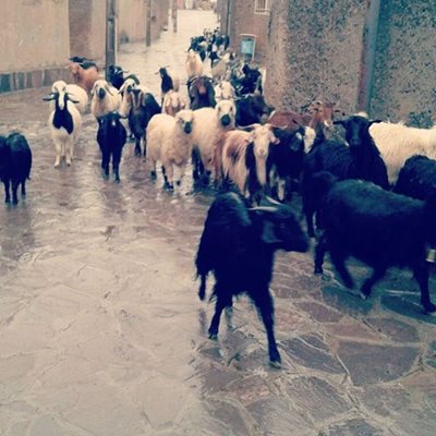 بیرجند-روستای-فریز-بیرجند-377826