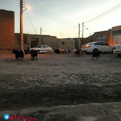 بیرجند-روستای-فریز-بیرجند-377832