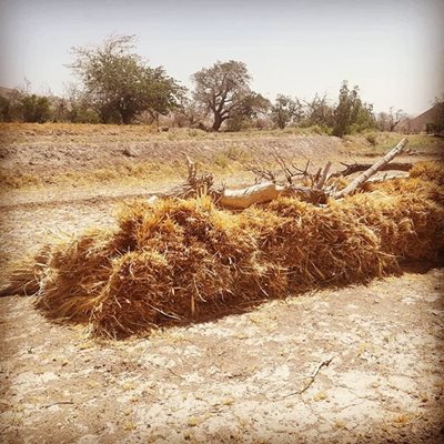بیرجند-روستای-فریز-بیرجند-377828
