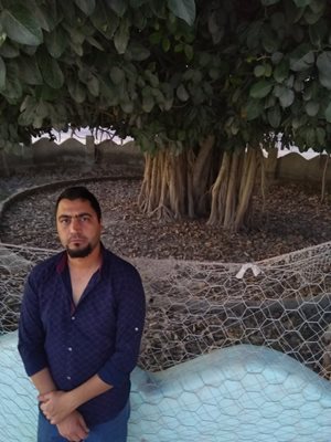 قشم-درخت-انجیر-معابد-قشم-378347