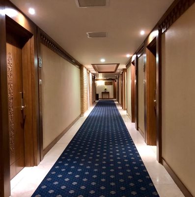 شیراز-هتل-زندیه-378501