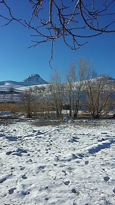 بهار-روستای-همه-کسی-378576